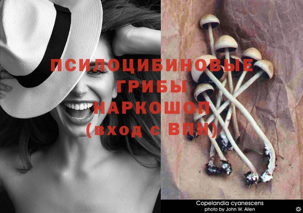 трава Алзамай