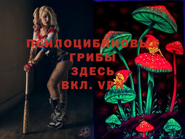 ECSTASY Алексин