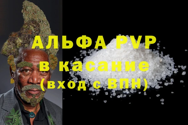 прущие грибы Абдулино