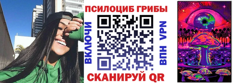 Псилоцибиновые грибы Psilocybine cubensis  Калачинск 